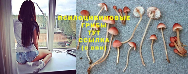 дурь Армянск
