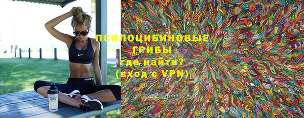 индика Балабаново