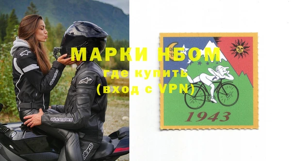 индика Балабаново