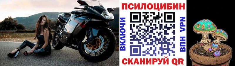 Псилоцибиновые грибы Magic Shrooms Хадыженск