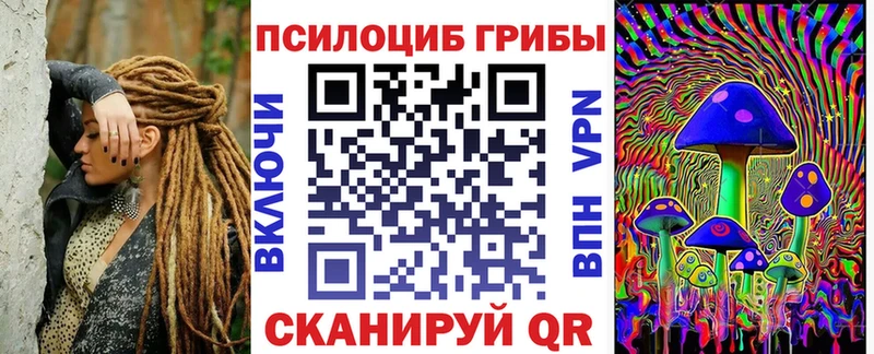 Галлюциногенные грибы Psilocybe Хадыженск