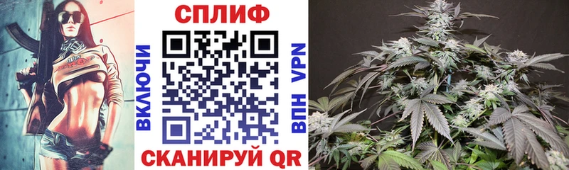 Бошки Шишки тримм  Хадыженск 